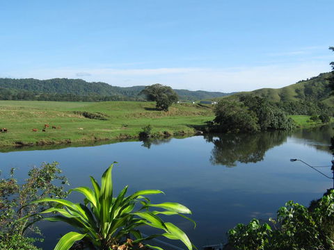 Daintree Riverview Lodges - Dalby Accommodation 0