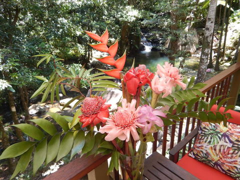 Daintree Secrets Rainforest Sanctuary - Dalby Accommodation 1