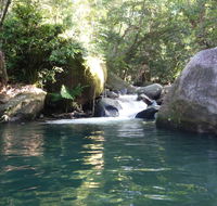 Daintree Secrets Rainforest Sanctuary - Dalby Accommodation