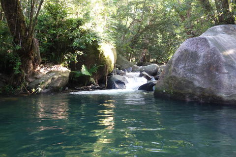 Daintree Secrets Rainforest Sanctuary - Dalby Accommodation 0
