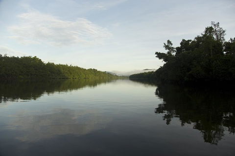 Daintree Village Hideaway - Dalby Accommodation 2