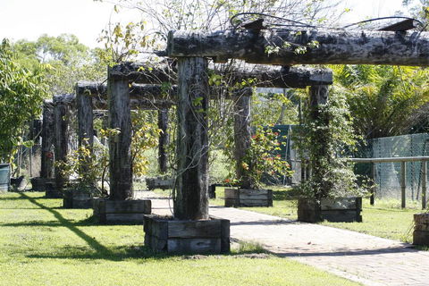 Daintree Wild Bed & Breakfast - Dalby Accommodation 2