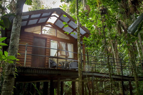 Daintree Wilderness Lodge - Dalby Accommodation 2