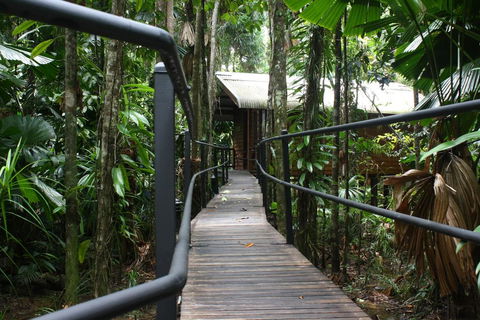 Daintree Wilderness Lodge - Dalby Accommodation 0