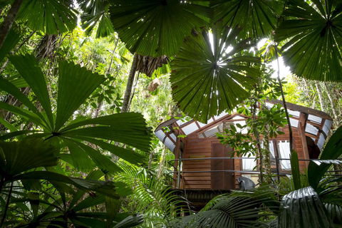 Daintree Wilderness Lodge - Dalby Accommodation 1