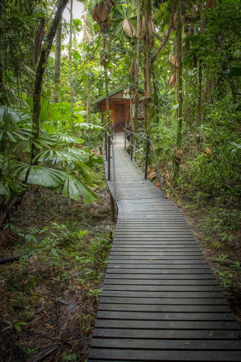 Daintree Wilderness Lodge - Dalby Accommodation 3
