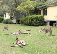 Depot Beach Cabins - Dalby Accommodation