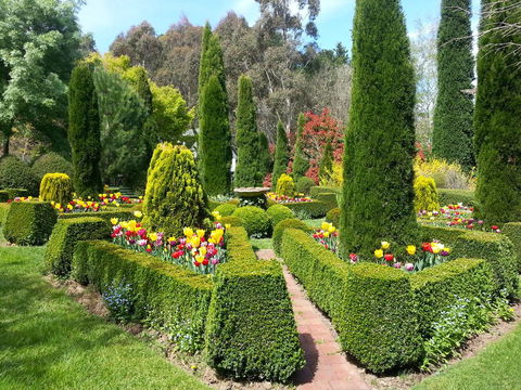 Devon Cottage - Dalby Accommodation 1