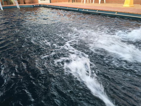 Dragon Phoenix Resort - Dalby Accommodation 1