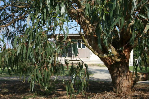 Driftwood Villas - Dalby Accommodation 3
