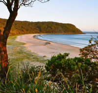 Durras Lake North Holiday Park - Dalby Accommodation