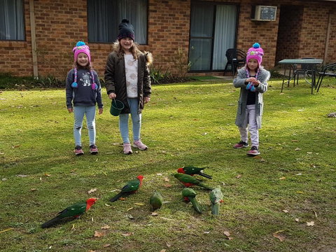 Eildon Parkview Motor Inn - Dalby Accommodation 1