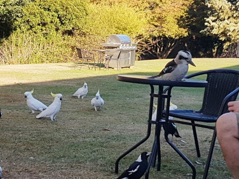 Eildon Parkview Motor Inn - Dalby Accommodation 0