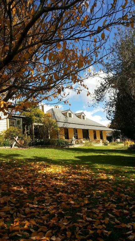 Eling Forest Winery - Dalby Accommodation 3