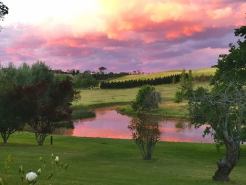 Eling Forest Winery - Dalby Accommodation 0
