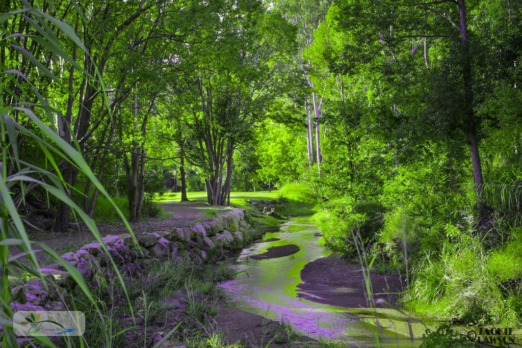 Redbank Creek QLD Dalby Accommodation