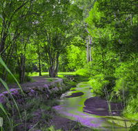 Esk Caravan Park  Rail Trail Motel - Dalby Accommodation