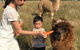 Farm Accommodation - thumb 3