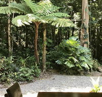 Forest Views Daintree - Dalby Accommodation