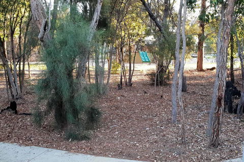 Frasers Landing Lifestyle - Dalby Accommodation 2