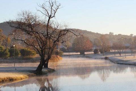 FROGGIES HOLIDAY HOUSE - Dalby Accommodation 1