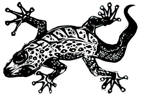 Gecko Guest House - Dalby Accommodation 3