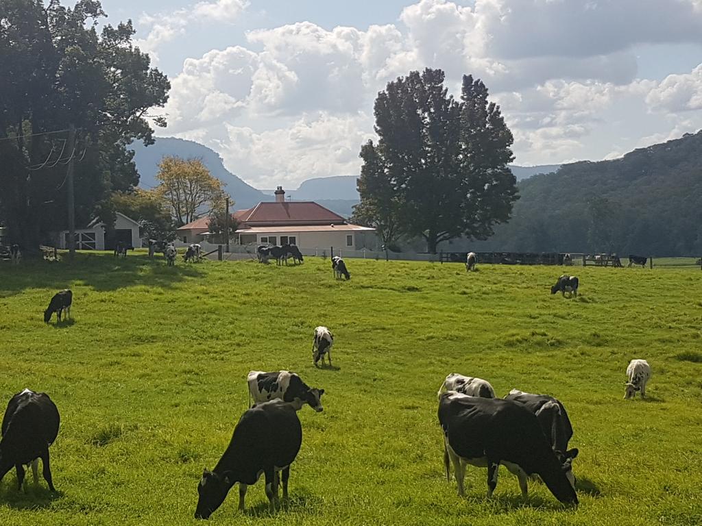 Werai NSW Dalby Accommodation