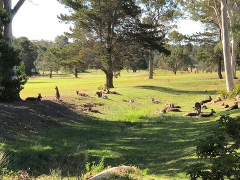Golf View Motel - Dalby Accommodation 1