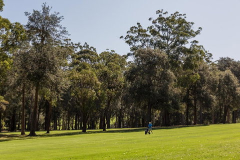 Golfer's Retreat, Mollymook - Dalby Accommodation 0