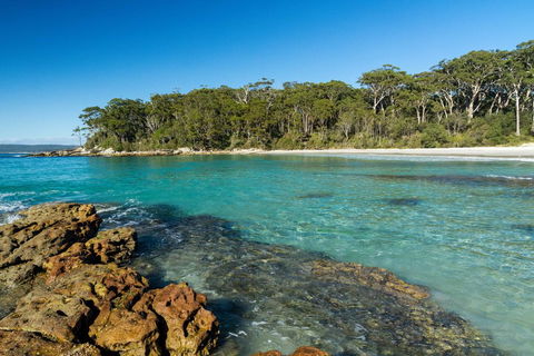Gorgeous Beachside Cottage Jervis Bay - Dalby Accommodation 0