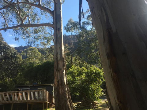Grampians Nest - Dalby Accommodation 0
