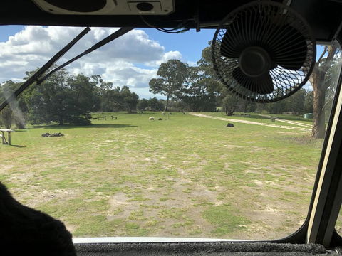Grampians Old Man Emu Stay - Dalby Accommodation 1