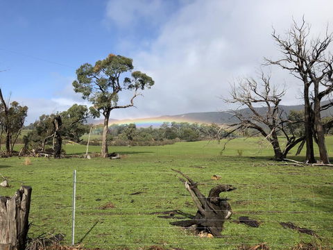 Grampians Old Man Emu Stay - Dalby Accommodation 2