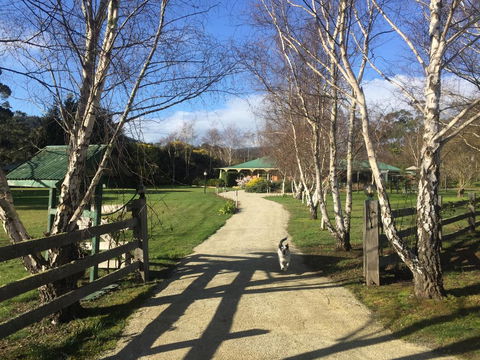 Green Gables B&B - Dalby Accommodation 0