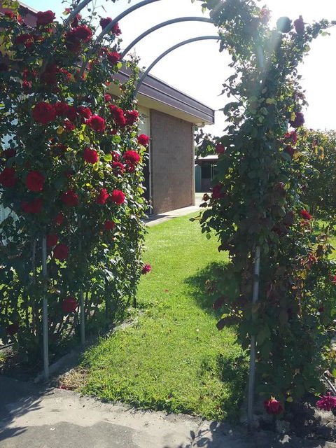 Heywood Motor Inn - Dalby Accommodation 1