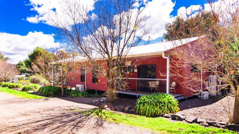 Hillview Farmstay - Dalby Accommodation 3