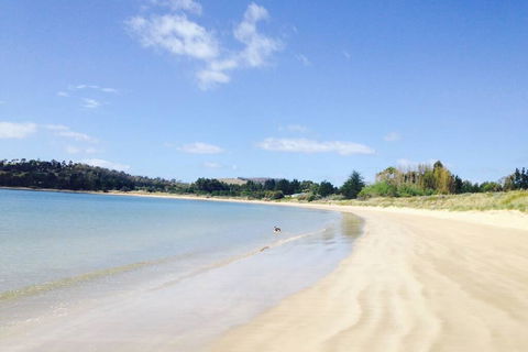 Hobart Beach Front Cottage - Dalby Accommodation 0