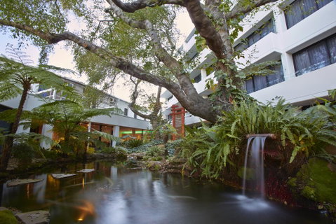 Holiday Inn Warwick Farm - Dalby Accommodation 1