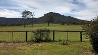 Hollyhill Cottage