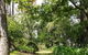 Hollyhill Cottage - thumb 3