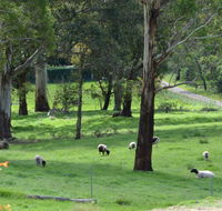 JAN'S ART STUDIO AT ASHBY RISE - Dalby Accommodation