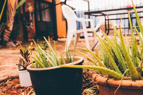 JJs Backpackers Hostel - Dalby Accommodation 2