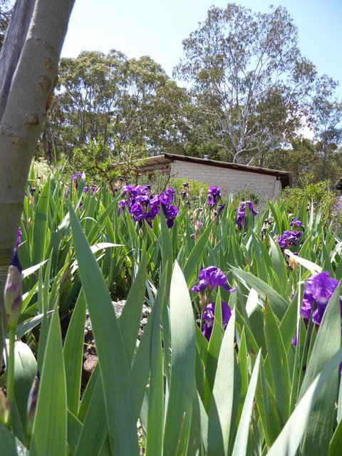 Lakeside Lodge Armidale - Dalby Accommodation 3