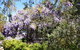 Lakeside Lodge Armidale - thumb 1