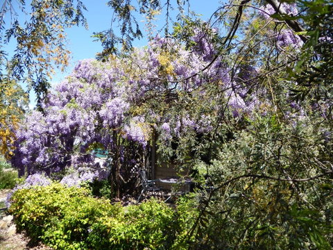 Lakeside Lodge Armidale - Dalby Accommodation 1