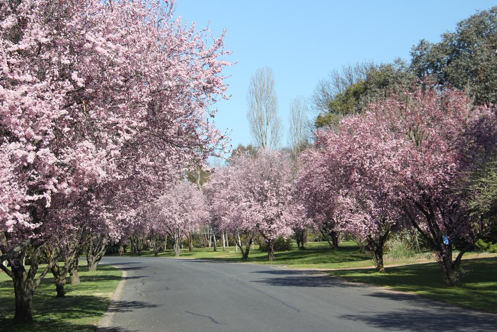 Kelso NSW Dalby Accommodation