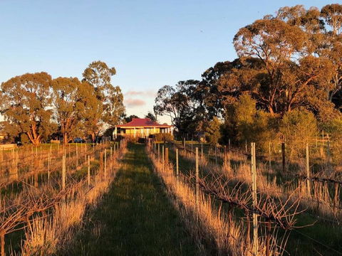 Lillicur Vineyard B&B - Dalby Accommodation 0