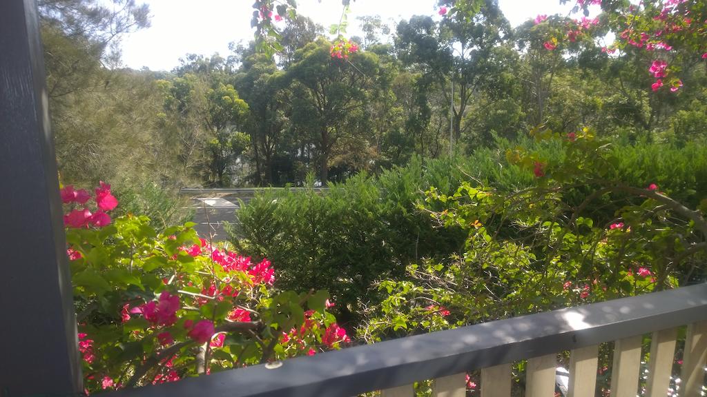 Linley Point NSW Dalby Accommodation