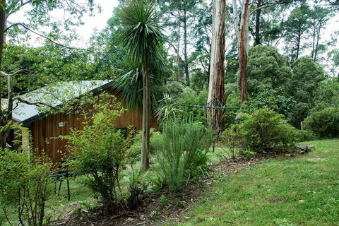 Luxury Forest Retreat - Puffing Billy - Dalby Accommodation 2