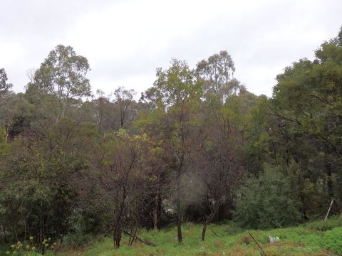Mandall Avenue - Dalby Accommodation 2